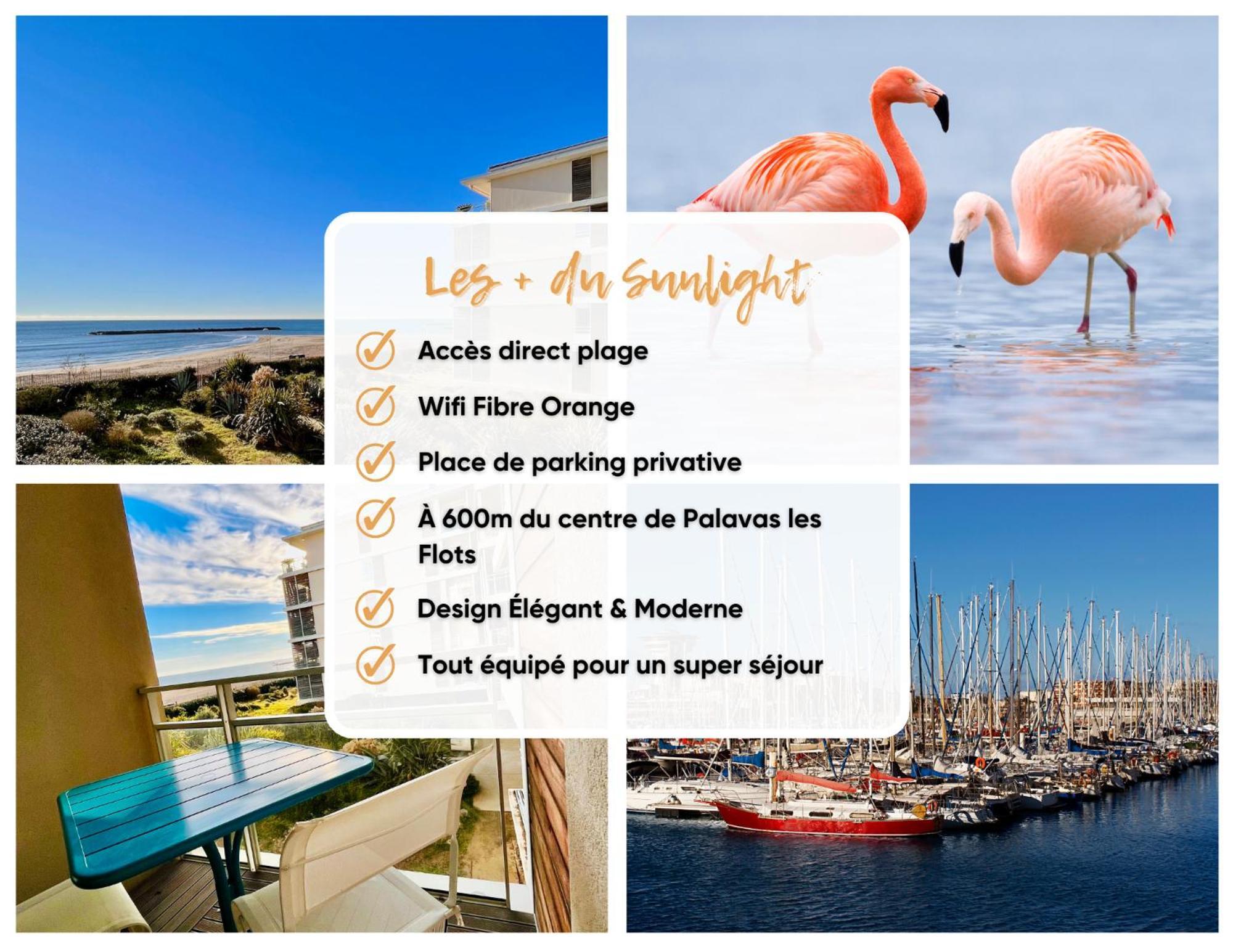 Le Sunlight - T2 Bord De Mer, Parking *